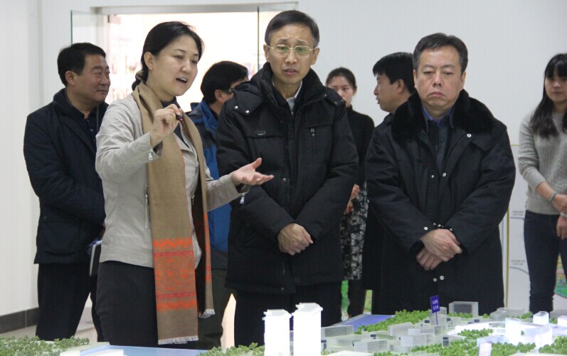通州区委书记杨斌考察园区2014年12月23日