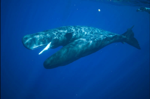 回眸十二五哪些国家对中国游客免签啦