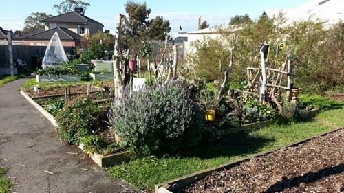 79岁高龄设计师使用中望CAD设计花园灌溉系