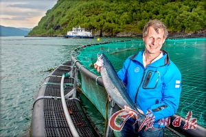 三文鱼到底能不能生吃?