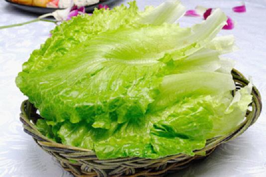 水灵灵的生菜