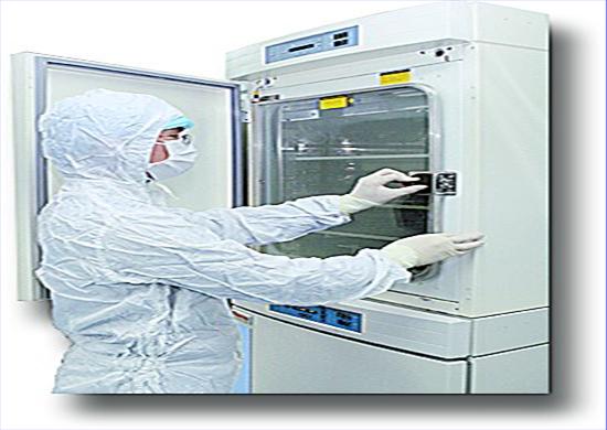 人造免疫部队围剿肿瘤