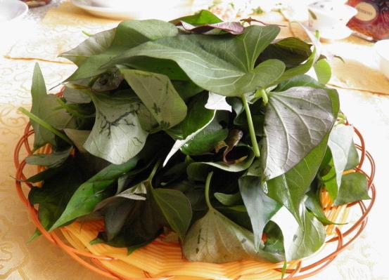 食疗佳品--红薯叶