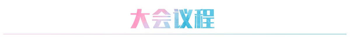 大会议程