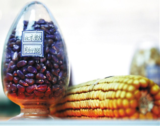 第三届京交会今开幕 12大服务贸易板块京交会