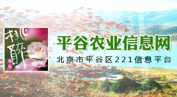 平谷农业信息网