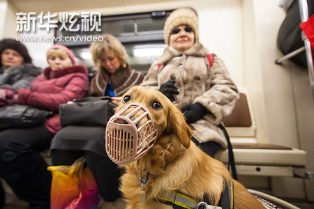 北京<em>视讯</em>