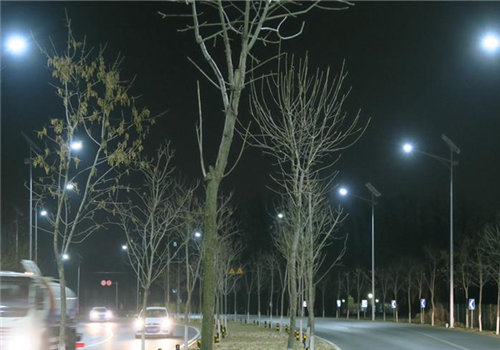 节能路灯 点亮 新农村
