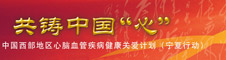 宁夏行动