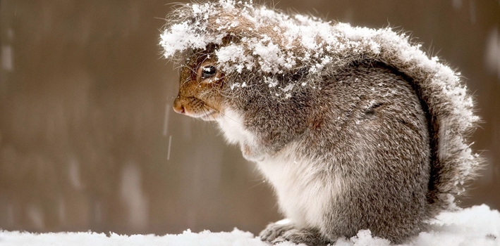 網傳今年是&ldquo;冷冬&rdquo;？ 謠言！