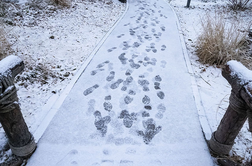 【圖集】雪落京城