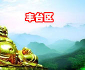 文博会丰台有“戏”