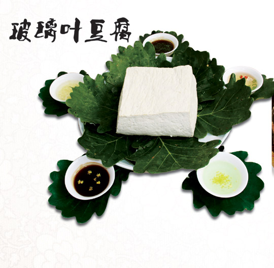 玻璃叶豆腐