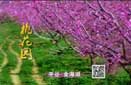 平谷桃花音乐节宣传片