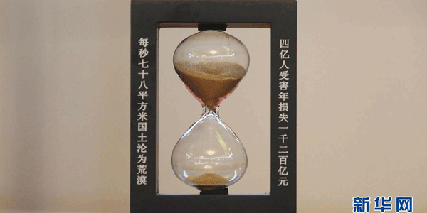 造林人的生命刻度