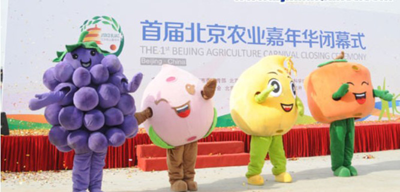 首届北京农业嘉年华闭幕 百万游客体验创意农业
